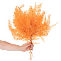 položky Konár papradia, konzervovaná papraď, sušená dekorácia na aranžmány, 60 cm, 10 kusov