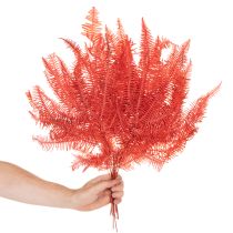 položky Paprade, konzervované sušené kvety, jesenná dekorácia, 60 cm, 10 kusov
