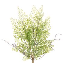 položky Umelá zelená vetvička Ruscus na kvetinovú dekoráciu, 41 cm