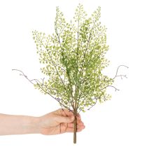 položky Umelá zelená vetvička Ruscus na kvetinovú dekoráciu, 41 cm