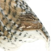 položky Lesná sova, jesenná dekorácia, dekoračná sova, Halloween V16cm