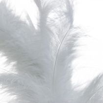 položky Veniec z peria biely Ø20cm Deco veniec jarné pravé perie 3ks