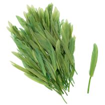 položky Dekoratívne pierka pre štýlovú atmosféru a pôsobivé dekorácie 10 cm