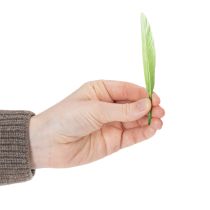 položky Dekoratívne pierka pre štýlovú atmosféru a pôsobivé dekorácie 10 cm