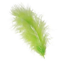 položky Pierka na šitie vo svetlozelenom zdobení pierok 5-10cm 20g