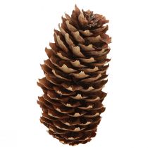 položky Smrekové šišky prírodné dekoračné šišky na remeslá 10-11cm 5 ks