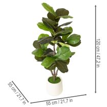 položky Umelý Ficus lyrata 120 cm dekoratívny do obývačky
