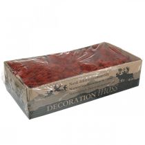 položky Dekoratívny mach červený Siena prírodný mach na remeslá sušený, farbený 500g