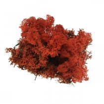 Dekoračný machový červený Siena prírodný mach na ručné práce, sušený, farbený 500g