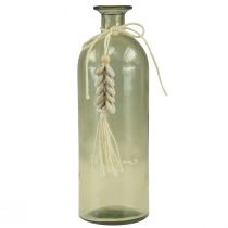položky Fľaše dekoratívna sklenená váza cowrie mušle námorné H26cm 2ks