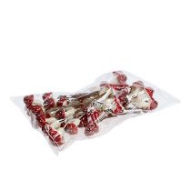 položky Muchovník na drôte 12 obj.