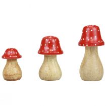 položky Muškárkové dekoračné huby drevené huby jesenná dekorácia V6/8/10cm sada 3 ks