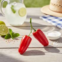 položky Umelé červené papriky na vetvičke zeleninová dekorácia L8cm