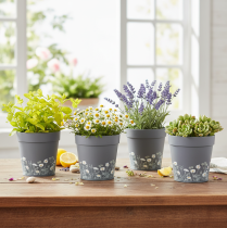 položky Kvetináč s kvetinovým vzorom pre modernú dekoráciu domu a letného balkóna, 13 cm, 4 kusy