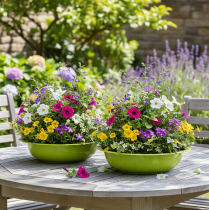 položky Miska na pestovanie rastlín pre atraktívnu dekoráciu rastlín v obývačke, 29 cm, 2 kusy