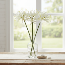 položky Nerine Guernsey Lily Umelý kvet Biela Žltá Ø15cm L65cm