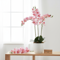 položky Orchidea Phalaenopsis umelé 9 kvetov ružová biela 96cm