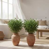 položky Sušený Lagurus (zajačí chvost) 65-70 cm 100 g