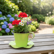 položky Dekoratívna kovová šálka na čaj s tanierikom svetlozelená Ø12 V10cm 8 ks