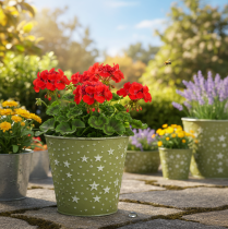 položky Strieborno-zelený kvetináč, kovový kvetináč s hviezdičkami, Ø14 cm