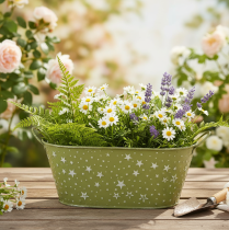 položky Oválna kovová misa s hviezdičkami a rúčkami, zelená, 31 × 16 cm, V 12,5 cm