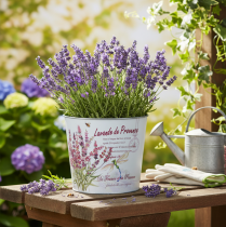 položky Kovový kvetináč, levanduľa, Ø21cm V18cm