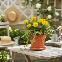 položky Dekoratívne kovové vedro/kvetináč, oranžovo-hnedé, Ø16 cm, V14,5 cm, 1,6 l