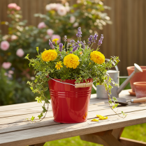 položky Dekoratívne kovové vedro/kvetináč, červené, Ø22 cm, V21,5 cm, 6 l