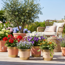 položky Kovový kvetináč/kvetináč, Ø17 cm V14,5 cm, 4 kusy