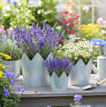 položky Kovový ozdobný kvetináč, zinok, koruna, Ø21,5/19,5/17 cm, sada 3 kusov