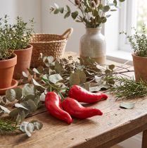 Článok Figurína z červených chilli papričiek 9 cm na konári