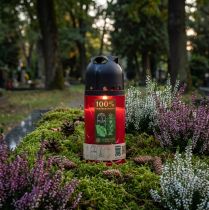 Článok Grave Candle Červená ICP kompostovateľná pamätná sviečka V20cm
