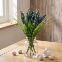 Článok Hroznové hyacinty 28cm - 30cm Modré 15 ks