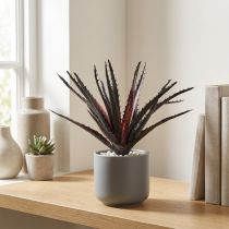 Článok Aloe Vera umelá fialová 26cm