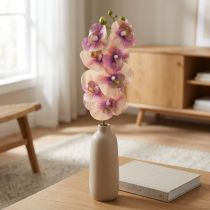 Článok Orchidea Phalaenopsis umelá 7 kvetov fialová krémová 73cm