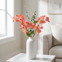 Článok Orchidea Mokara Losos 50cm 6 ks
