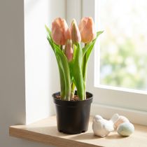 Článok Umelé tulipány v kvetináči Tulipány Broskyňové umelé kvety 22cm