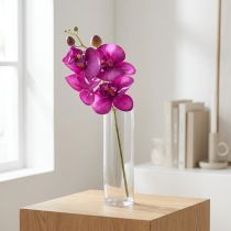 Článok Orchidea Umelá Phalaenopsis 4 kvety Fuchsia 72cm
