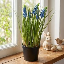 Článok Umelé hyacinty v modrom črepníku 24cm