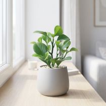 Článok Umelá zelená rastlina sukulentná umelá zelená H14cm