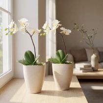Článok Kvetináč na orchidey, plastový, béžovo melírovaný, 13,5x13cm, V16,5cm, 2 kusy