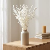 Článok Plochouchá suchá tráva Chasmantium White 70cm 10 ks