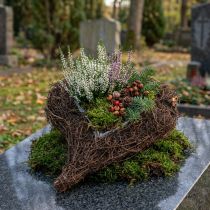 Článok Viničové srdce na výsadbu prírody 30cm x 25cm