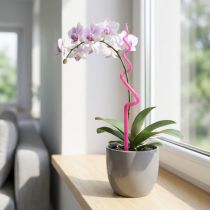 Článok Kolík pre orchidey, plastový, ružový, podpora, kolík pre rastlinu orchideí, V64 cm