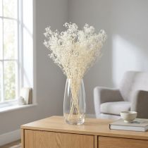 Článok Gypsophila White Sušené trávy Dekoračný krém 65-70cm 100g