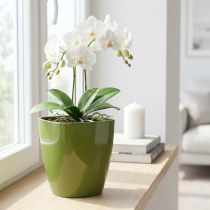 Článok Kvetináč na orchideu lesklý Ø12,5cm olivovo zelený 1 kus