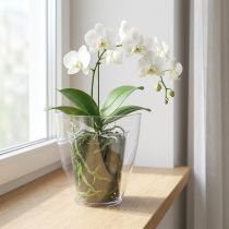 Článok Kvetináč na orchideu lesklý Ø12,5cm priehľadný 1 kus