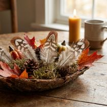 Článok Bažantie pierka na výrobu, hnedé škvrnité, 4-9 cm, 60 kusov