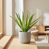 Článok Aloe Vera umelé zelené 26cm