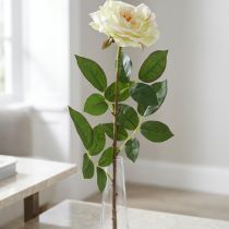 Článok Umelá ruža, ozdobná ruža, hodvábny kvet krémovo biela, zelená L72cm Ø12cm